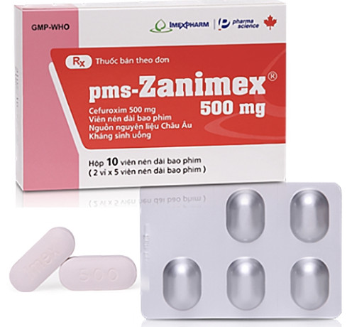 Zanimex 500